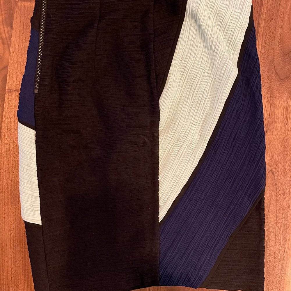 Anthropologie Pencil Skirt